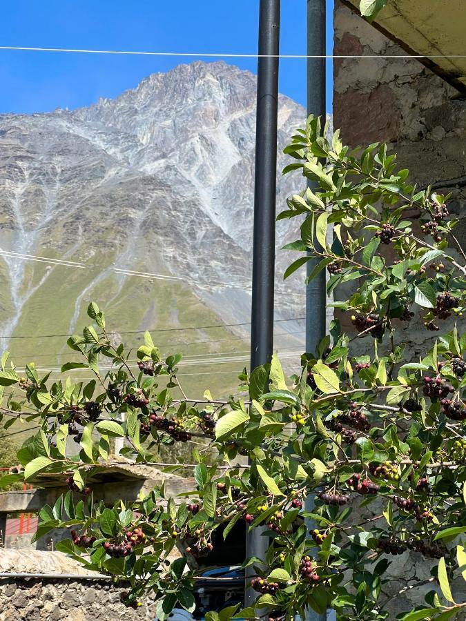 Ia'S Guest House Kazbegi Eksteriør bilde